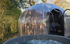 Les nuits de Cassiopee